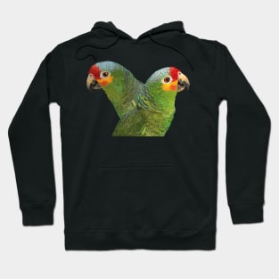 Red-fronted Amazon Hoodie